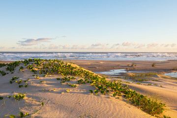 Sandy beach