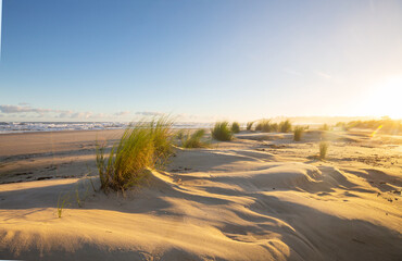 Sandy beach