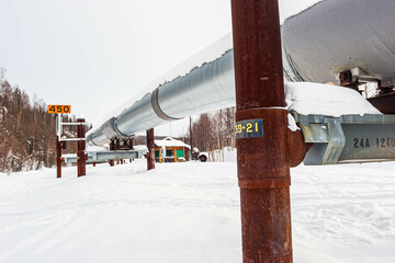 The Alaskan Oil Pipeline Covered in Snow, Fairbanks, Alaska, USA