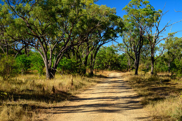 Journeying through the Australian bushland in Far North Queensland reveals a landscape rich with...