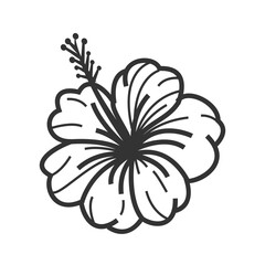 Hibiscus Art - High-Resolution Floral Drawing
