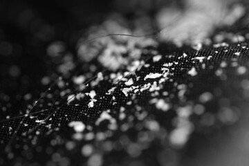 Macro shot of hair loss and flaky dandruff on black cloth