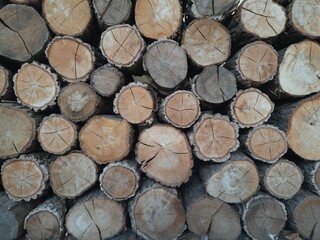 Round logs laid in a row. Natural background.