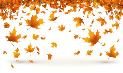 Falling autumn leaves against a white background, creating a vibrant and seasonal scene.  The leaves are various shades of orange and yellow, appearing to descend from above