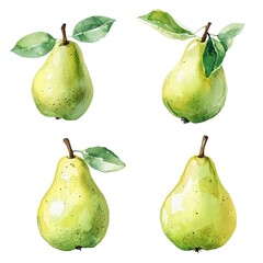 Watercolor Illustration Of Four Pears