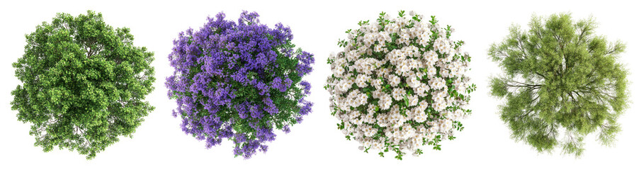 Fototapeta premium PNG Colorful top-view tree collection, element set on transparent background
