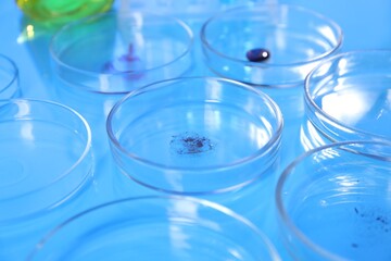 Petri dishes with samples on light blue background, closeup