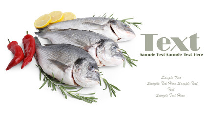 Sea food. Dorado fish and products on white background. Banner design with space for text