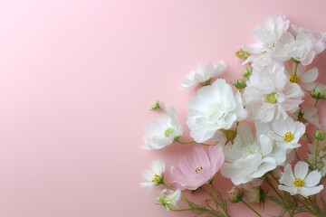 Soft Pink And White Flowers Arrangement On Pastel Background