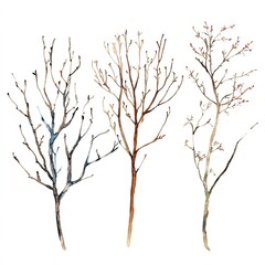 Obraz premium Bare Branches Of Trees Illustration