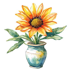 A Gazania In A Vase, watercolor painting vector, high quality, isolated on a white background.