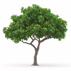 Green Leafy Tree in Vibrant Summer Park. Picturesque Nature Scene with Lush Foliage and Natural Beauty