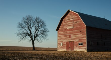 Obraz premium Rural Landscape Featuring a Classic Red Barn and a Bare Tree Under a Clear Blue Sky in Autumn Season