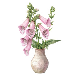 watercolor vector of A Foxglove In A Vase, high quality, isolated on a white background.