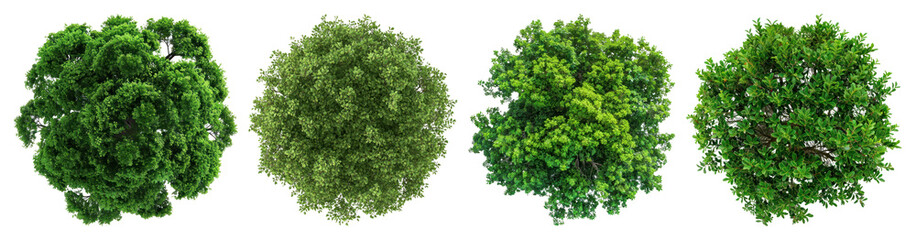 PNG Lush green tree tops, element set on transparent background