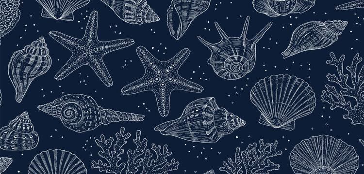 Seamless vector banner with hand drawn sea shells, conch, tentacle, starfish, corals. Outline marine drawings on wide background. Pattern with sketch silhouettes of seashore elements