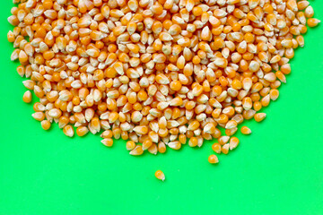 Yellow raw unpopped popcorn kernels