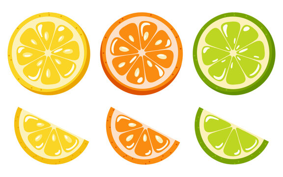 Set of citrus slices with lemon, orange and lime in round and wedge shapes. Cartoon vector illustration on white background