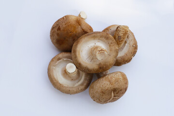 Fresh shiitake mushrooms on white background.