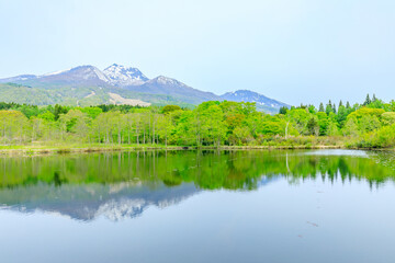 初夏のいもり池　新潟県妙高市　Imori Pond in early summer. Niigata Pref, Myoko City.