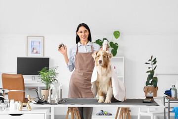 Female groomer with pet accessories and Australian Shepherd dog in salon