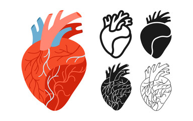 Human heart symbol set. Anatomical heart muscular organ symbol on white background. Drawing human heart for cardiology medical educational for children simple style stylized design vector illustration
