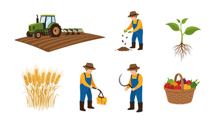 Farming and agriculture process from plowing to harvesting crops with tractor and farmers illustration