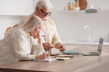 Fototapeta premium Senior couple calculating utility bills in kitchen