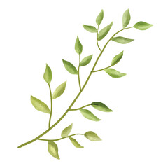 branch with green leaves