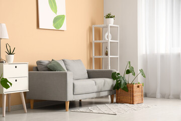 Interior of living room with sofa, shelving unit and Monstera houseplant near beige wall