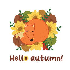 Autumn vector composition with fox; leaves; sunflowers, herbs and text hello autumn on white background