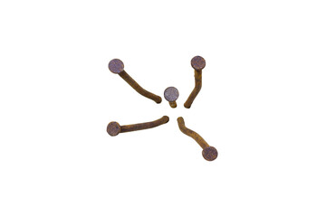 Old nail heads isolated on transparent background