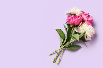 Different beautiful peony flowers on lilac background