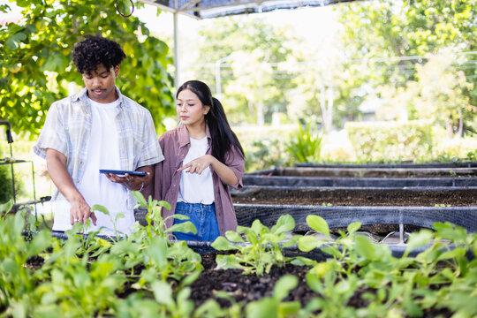 Young scientist in agricultural farm is working with research team to study plant growth and soil conditions while using digital tablet for data collection and analysis