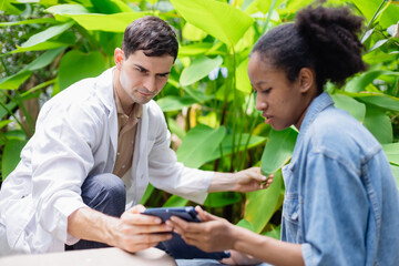 Young agricultural research team of scientist in farm studies plant growth using digital tablet technology in natural outdoor environment with green leaves and focused expressions