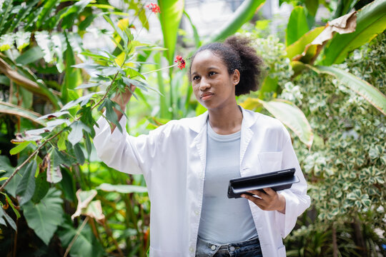 Young scientist in white coat is conducting agricultural research in farm environment while holding tablet and examining plants with focused and curious expression
