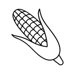 Single ear of corn line drawing illustration