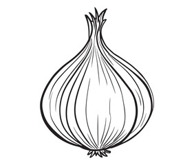 Cartoon onion on white background. Simple black and white onion sketch. 