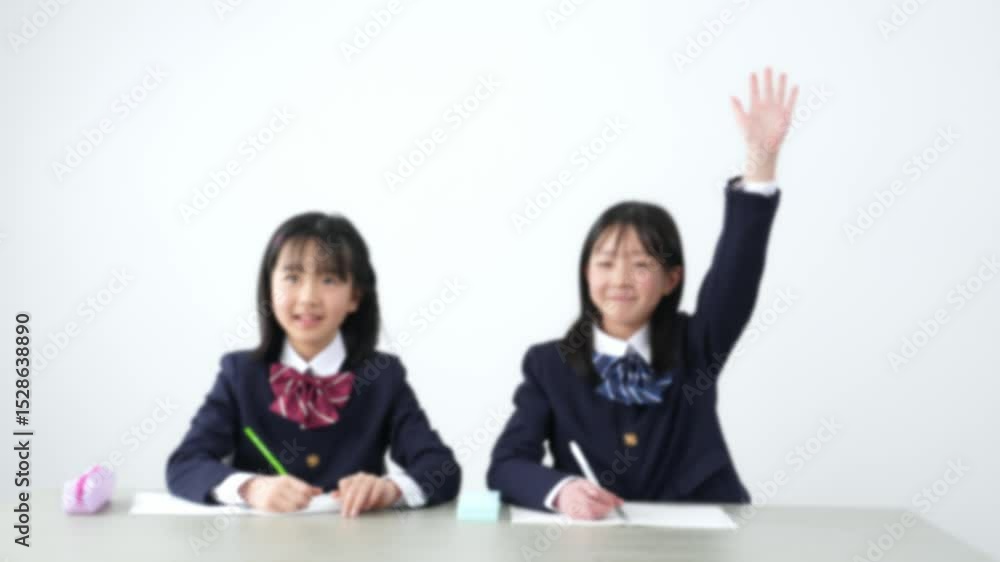 Aufkleber 教室で授業を受ける女子小学生のグループ　イメージ映像向けぼかし画像
