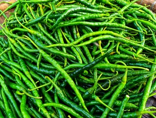 Abundance of Fiery Green Bird's Eye Chillies