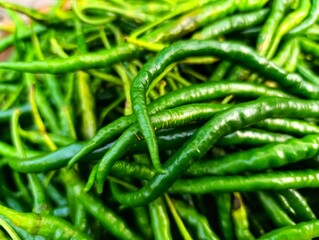 Abundance of Fiery Green Bird's Eye Chillies
