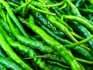 Abundance of Fiery Green Bird's Eye Chillies