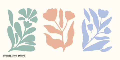 Botanical Leaves and Floral Vintage Collection Vector Illustration Set