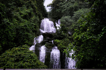 Waterfall in the forest of Meghalaya.