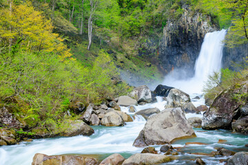 初夏の苗名滝　新潟県妙高市　Naena Falls in early summer. Niigata Pref, Myoko City.