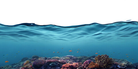Vibrant underwater coral reef scene isolated on a white background png ai generated