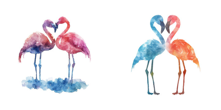 abstract color silhouette of couple flamingo watercolor vector illustration