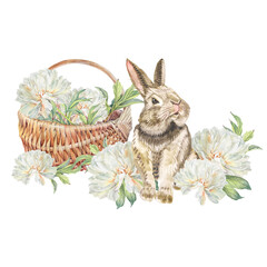 Watercolor rabbit and bouquet peony in wicker basket isolated on white background. Hand-drawn flower and animal hare for Easter. Spring clipart for wedding invite celebration. Wallpaper or wrapping