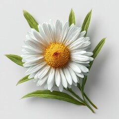 Fototapeta premium Bright white flower with yellow center and green leaves on a light background, showcasing natural beauty and elegance in floral design