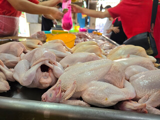 Raw Whole Chickens for Sale at Wet Market Counter